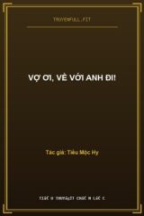 Vợ Ơi, Về Với Anh Đi!