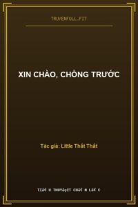 Xin Chào, Chồng Trước