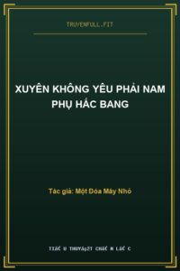 Xuyên Không Yêu Phải Nam Phụ Hắc Bang