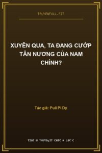 Xuyên Qua, Ta Đang Cướp Tân Nương Của Nam Chính?