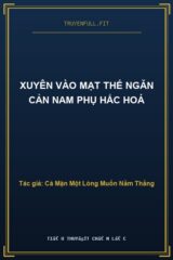 Xuyên Vào Mạt Thế Ngăn Cản Nam Phụ Hắc Hoá