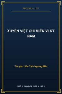 Xuyên Việt Chi Miễn Vi Kỳ Nam